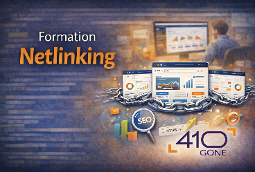 Formation netlinking : apprendre à construire une stratégie de backlinks efficace