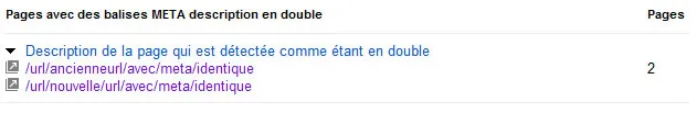 meta description en double