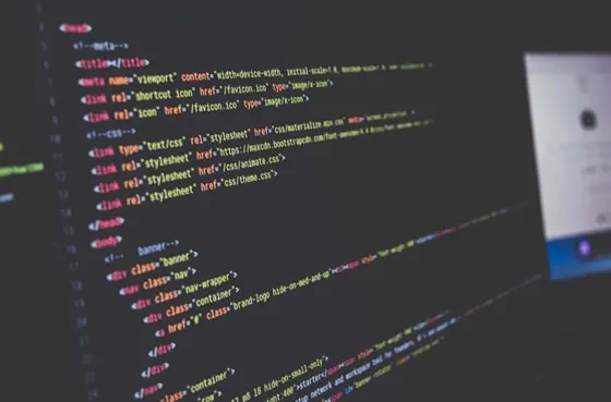 seo technique