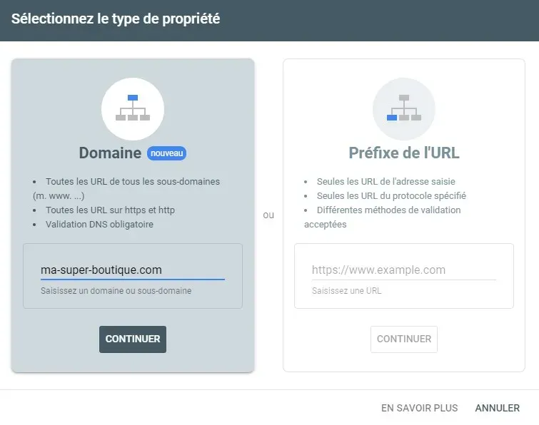 Configuration de la search console