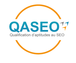 logo qaseo