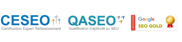 Certifications SEO de l'agence 410 Gone